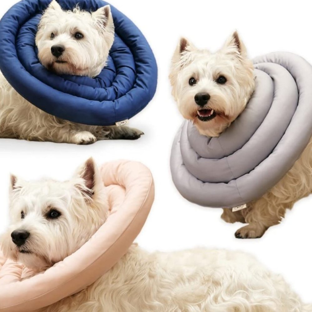 GAGABODY Elizabethan Collar, Water-Resistant Soft Adjustable Protective Cone